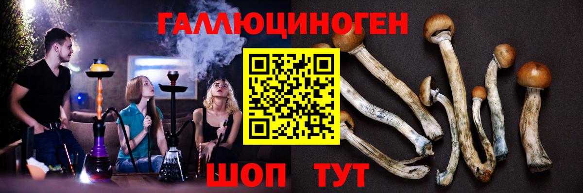 Галлюциногенные грибы мицелий Смоленск